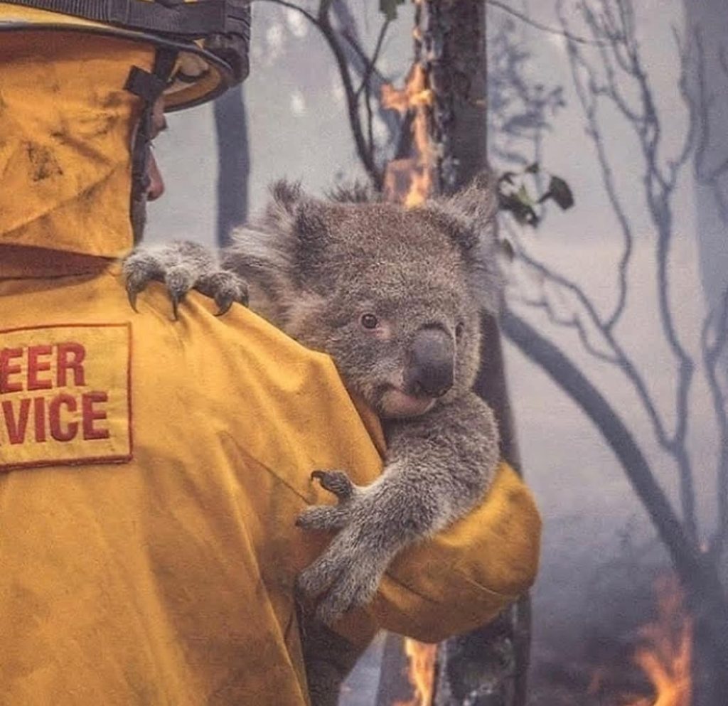 Australi: Ulen temperaturat dhe pritet të përmirësohet situata