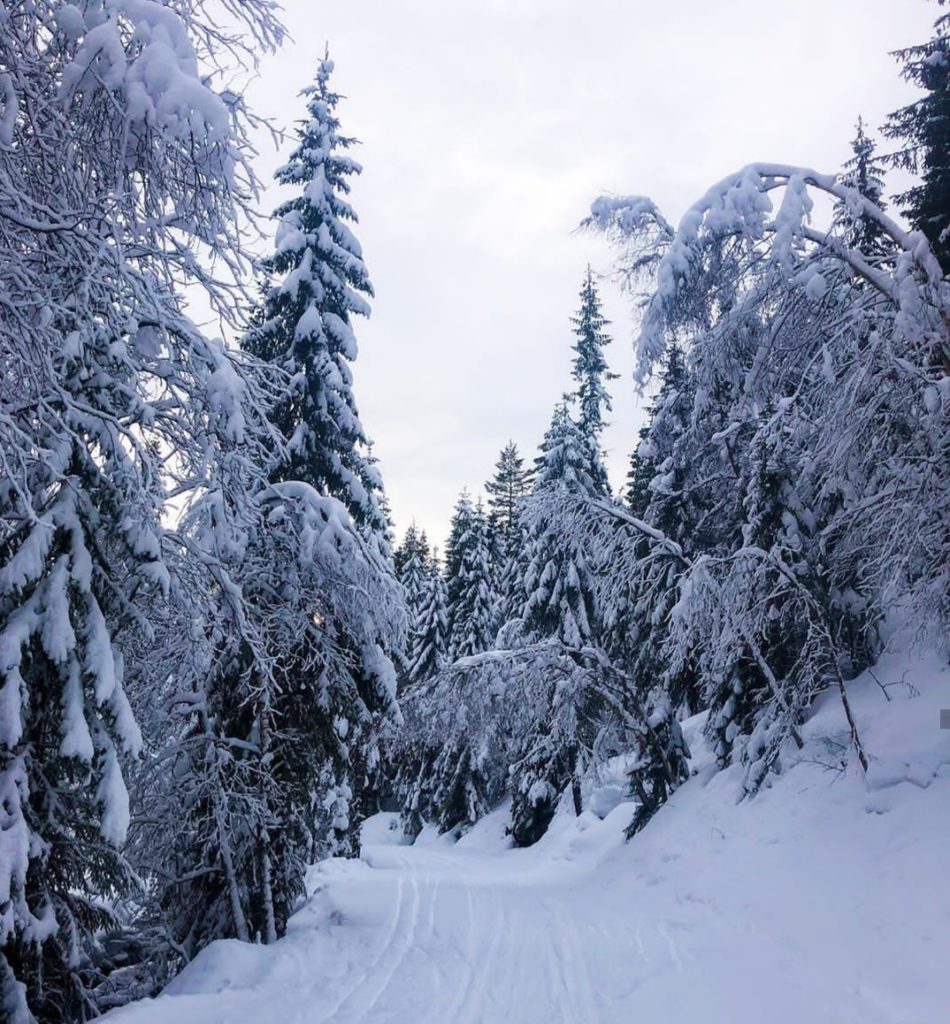 Bëhuni gati! Shkurti sjell të ftohtin polar në Ballkan