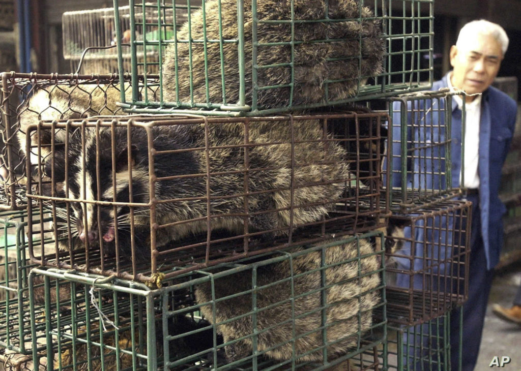 Pas përhapjes së koronavirusit, Kina ndalon në mënyrë absolute konsumin dhe tregtinë e kafshëve të egra