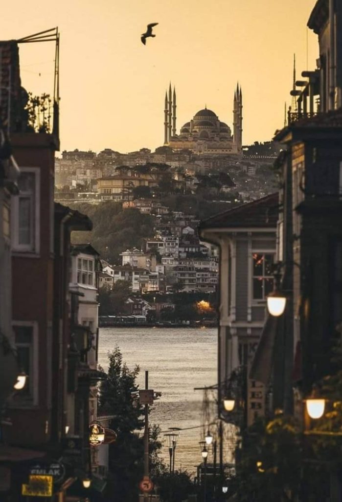 Strategjia e veçantë që po përdor Turqia kundër COVID-19