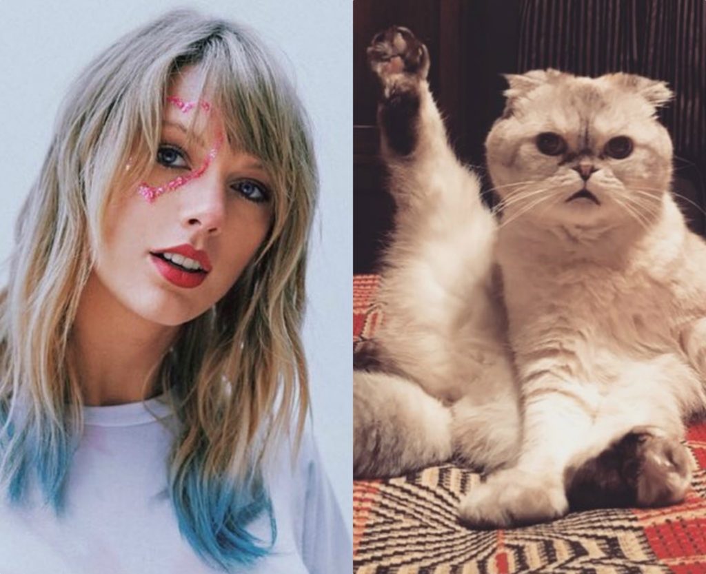 Shifra marramendëse! Nuk do ta besoni dot, por macja e Taylor Swift është më e pasur se motrat Kardashian-Jenner!