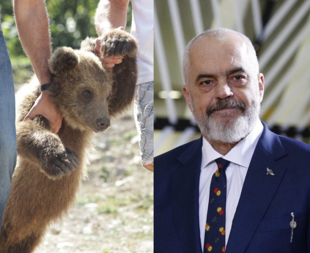 “Arinj kemi sa të duash, por jo për shitje!” Kryeministri Rama reagon pas artikullit te medias britanike!