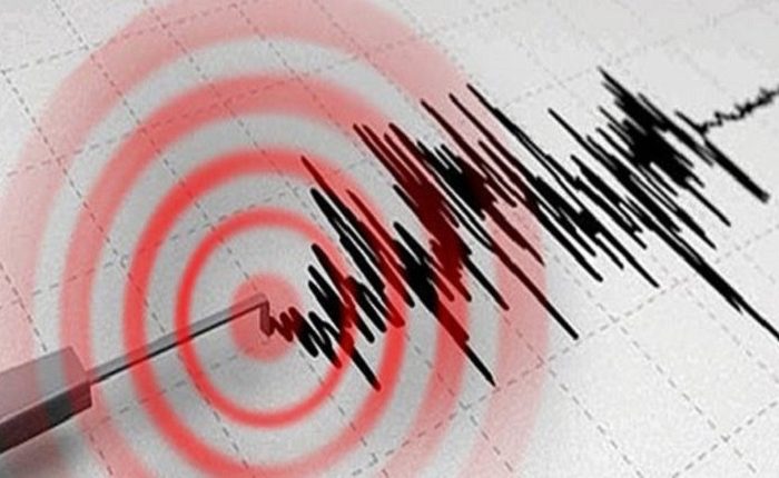 Një tërmet me magnitudë 4 ballë i shkallës 'Rihter' godet vendin, detajet e para