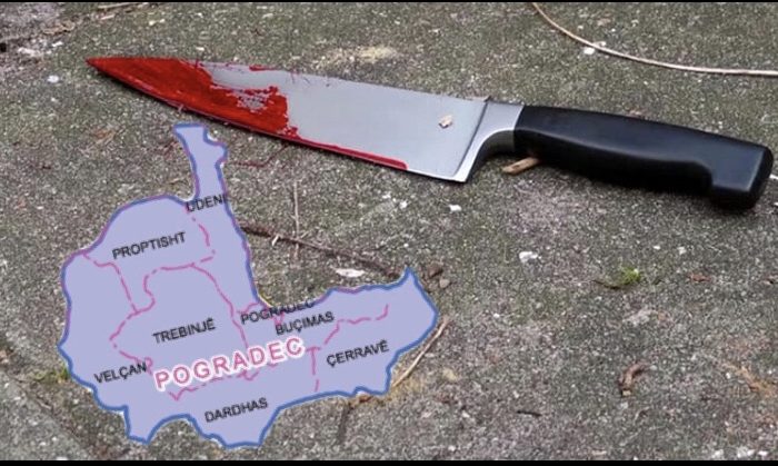 E rëndë në Pogradec! 44-vjeçari masakron me thikë nënën dhe plagos vëllanë!