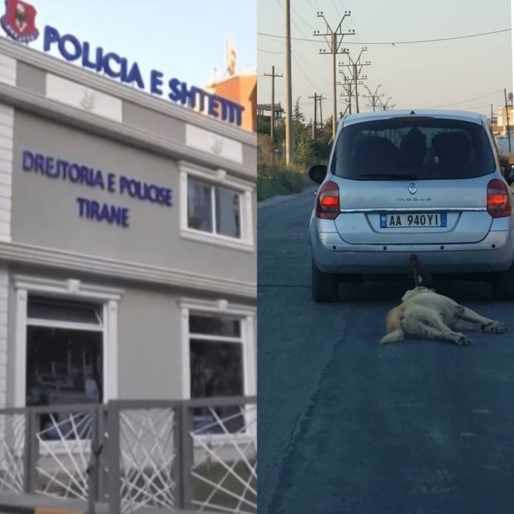 Tërhoqi zvarrë qenin, Policia procedon penalisht shoferin e makinës në Sukth