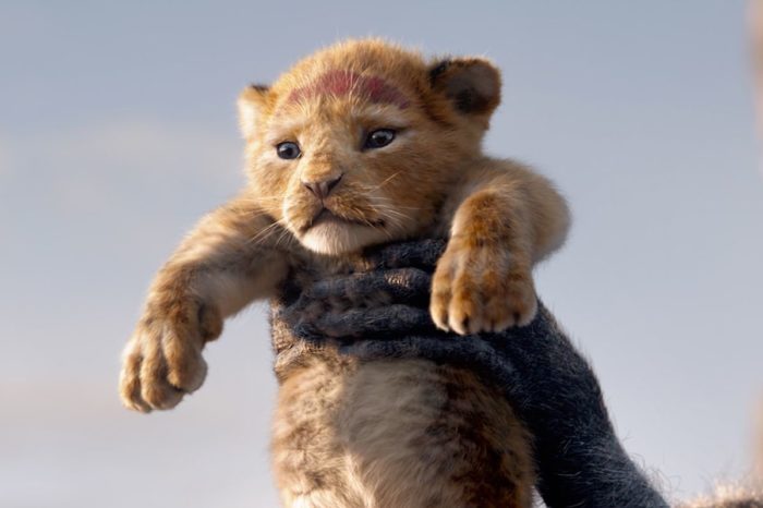 Një tjetër film "The Lion King", por historia nuk do të përqëndrohet te Simba!