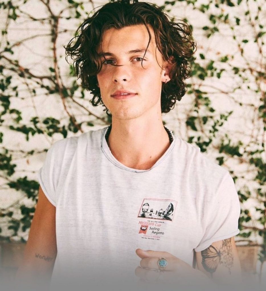 “Më kanë quajtur “homoseksual” që 15 vjeç!” Shawn Mendes flet rreth thashethemeve për orientimin e tij seksual!