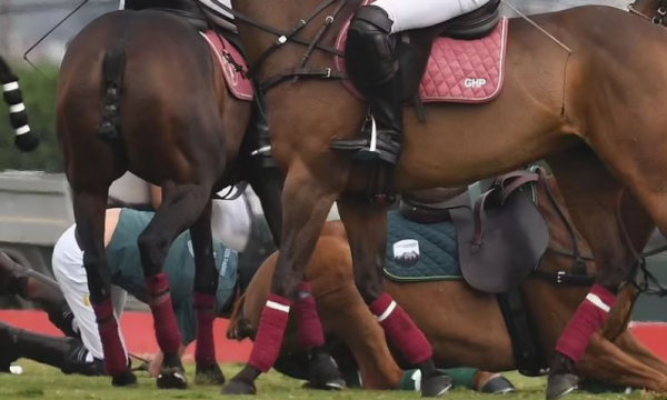 Princ Harry rrëzohet nga kali por si është gjendja e tij shëndetësore?