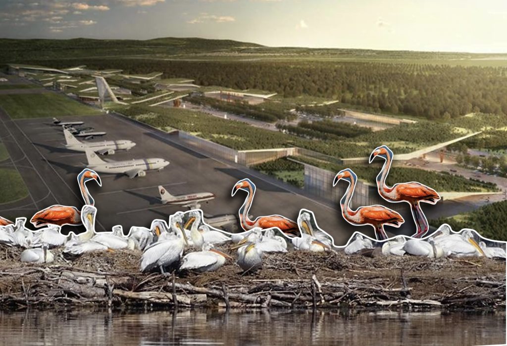 Ndërtimi i paligjshëm i Aeroportit të Vlorës: Organizatat mjedisore padisin institucionet