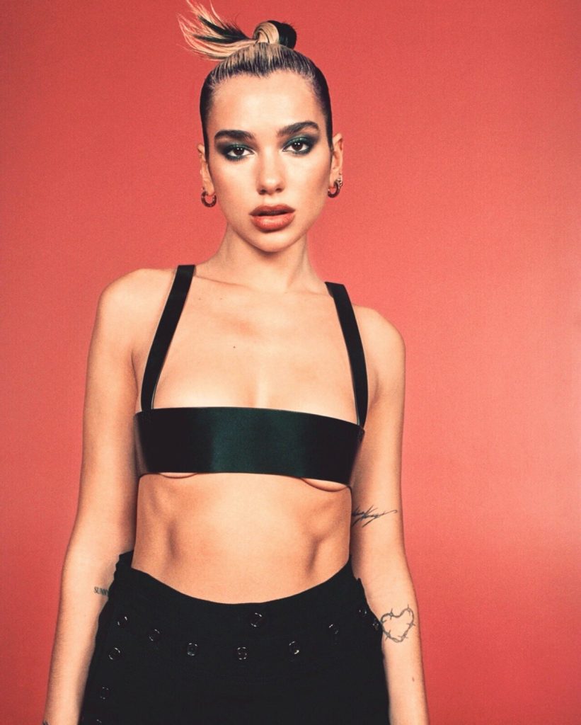 Kush do t’i bëjë dëm? Dua Lipa shqetësohet para publikimit të albumit