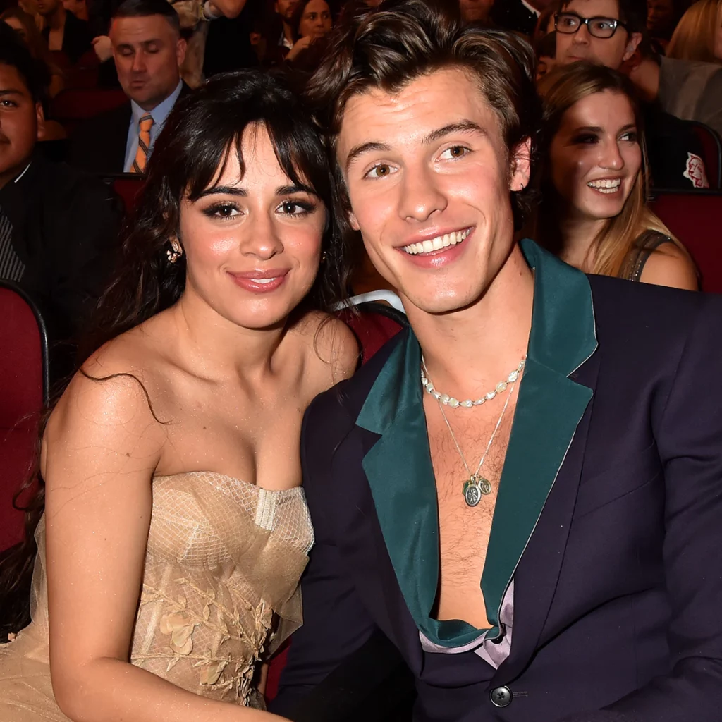 Pas ribashkimit, Camila Cabello dhe Shawn Mendes nuk e fshehin romancën