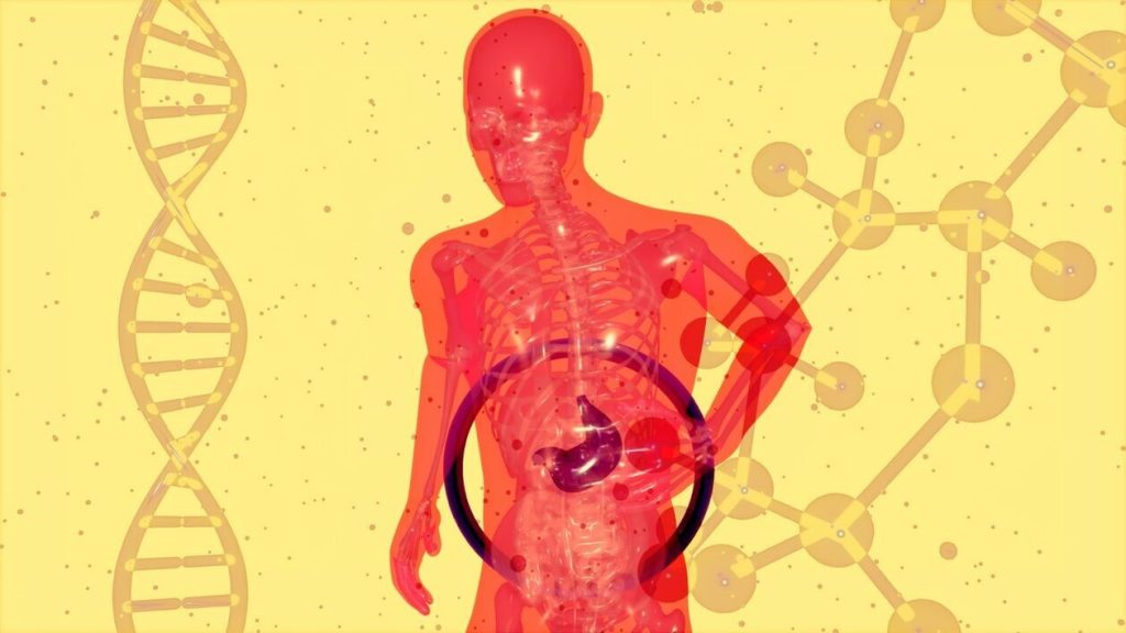 7 ushqime që janë të dobishme për mëlçinë tuaj