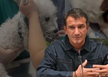 Vjedh miliarda/ Veliaj kursen kacidhet për kafshët, i lë pa ujë dhe ushqim