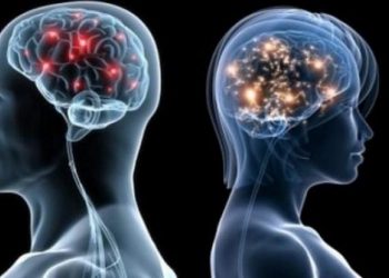 Cili është më aktiv truri i meshkujve apo femrave?