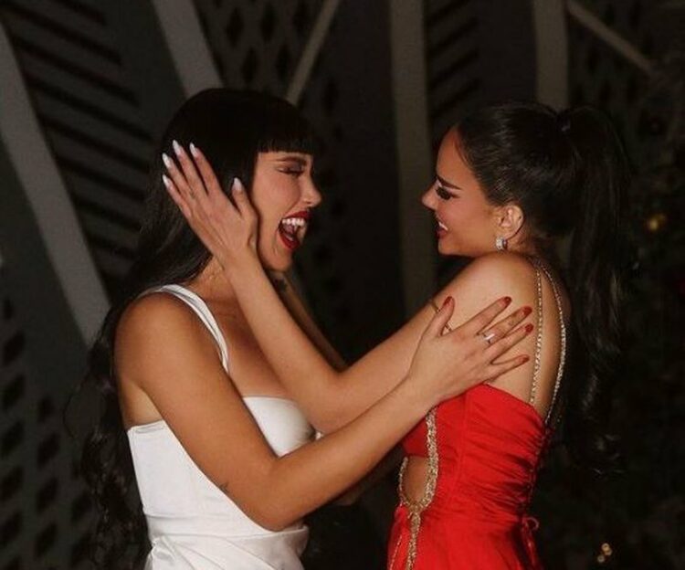 Krisje miqësie midis Borës dhe Semit? Ky veprim zbulon gjithçka