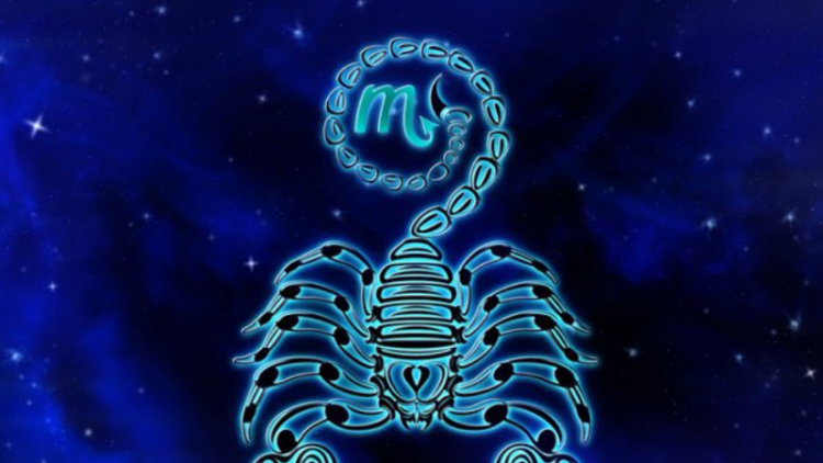 LUM kush i mban afër, përse shoqet AKREP janë më të mirat që mund të keni?