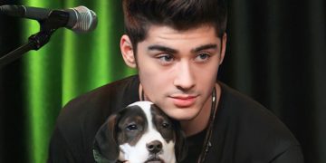 Të paturit një qen ju bën më tërheqës në syrin e gjinisë së kundërt!