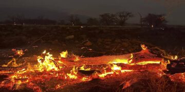 Situata me zjarret në Hawaii, sa persona humbën jetën deri tani?