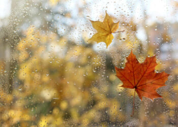 Zyrtarisht vjeshtë! Këto janë temperaturat që na presin në ditët në vazhdim