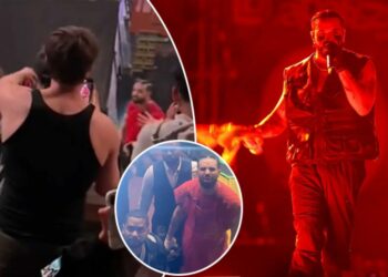 Dy persona zihen për peshqirin e tij, ndërhyn Drake: Je çmendur?