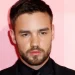 “One Direction” i shkaktoi Liam Payne shumë plagë!