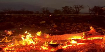 Zjarret në Hawaii, sa ka shkuar numri i viktimave?