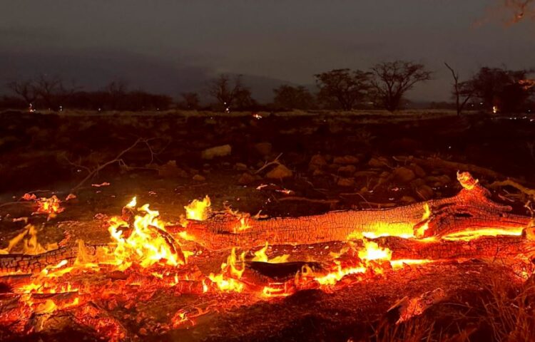 Zjarret në Hawaii, sa ka shkuar numri i viktimave?