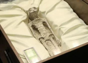 Ç’histori fshihet pas dy kufomave të alienëve, të gjetura së fundmi?