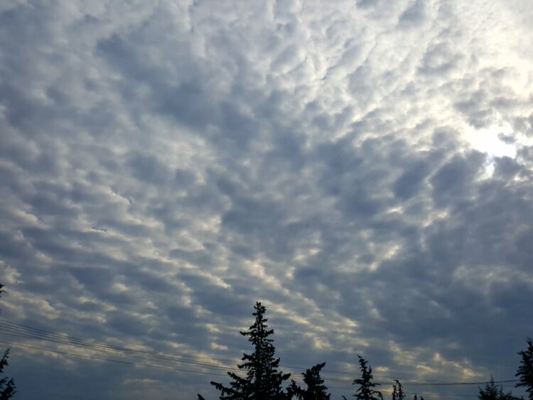 Moti vjen me surpriza këtë javë, parashikimi për ditët në vijim