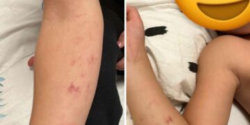 Prokuroria kërkon paraburgim për edukatoren dhe kuzhinieren