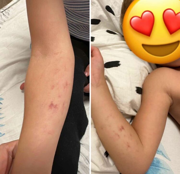 Prokuroria kërkon paraburgim për edukatoren dhe kuzhinieren