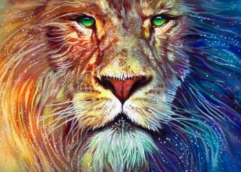 Shenjat më të fuqishme të horoskopit!