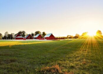 Renditja/ Vendet më të mira për rritjen e fëmijëve!