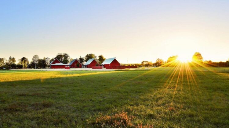 Renditja/ Vendet më të mira për rritjen e fëmijëve!