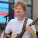 E pazakontë! Ed Sheeran thotë se e ka gati varrin e tij, po ku?