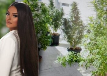 Kanabisi në ballkonin e shtëpisë, Apeli jep vendimin për Encën