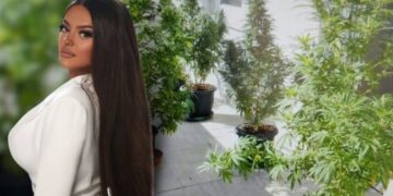 Kanabisi në ballkonin e shtëpisë, Apeli jep vendimin për Encën