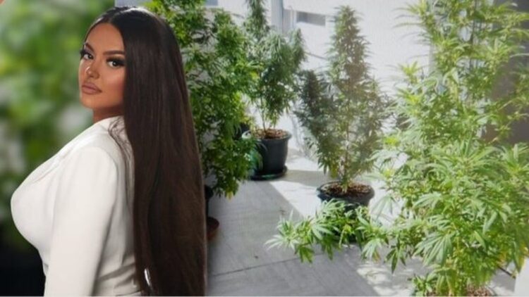 Kanabisi në ballkonin e shtëpisë, Apeli jep vendimin për Encën