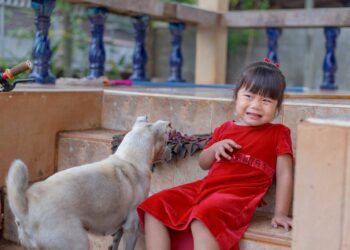 Çfarë duhet të dini për kinofobinë apo frikën nga qentë?