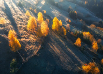 Një ditë larg Nëntorit, gjithçka që duhet të dini për planetët dhe shenjat