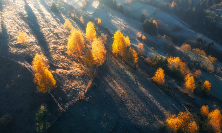 Një ditë larg Nëntorit, gjithçka që duhet të dini për planetët dhe shenjat
