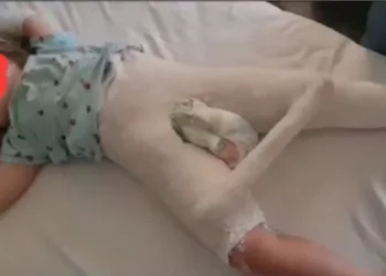 Dhunimi i 3-vjeçares, pezullohen nga detyra tre zyrtarë policie