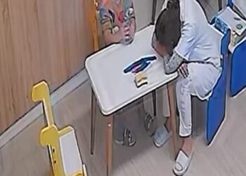 Procedohet penalisht pronari i kopshtit “Stinët” në Tiranë