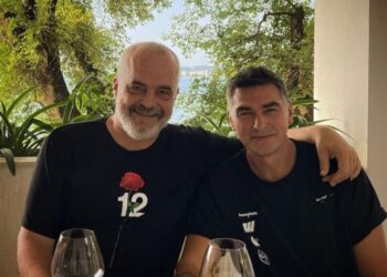 U “dëbua” nga Kosova, Dukagjin Lipa bëhet investitor strategjik në Lushnje