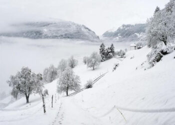 Bora “pushton” vendin, Policia iu bën apel drejtuesve të mjeteve!