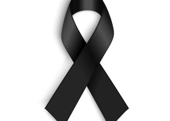 19 gra shqiptare u vranë gjatë vitit 2023