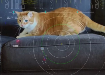 Eksperimenti i pazakontë/ NASA sjell macen nga hapësira në tokë