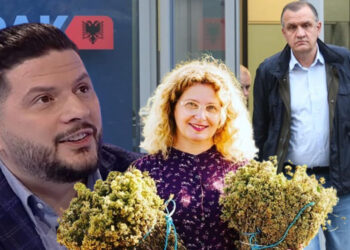 Ermal Mamaqi në skemën e pastrimit të parave për llogari të Ilir Beqajt