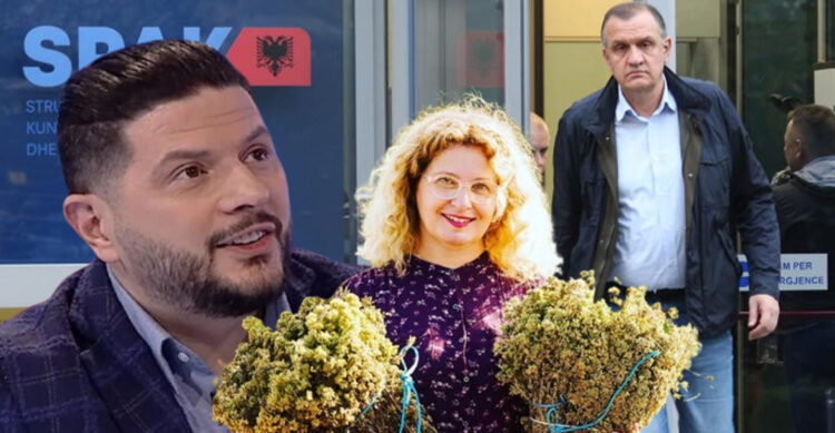 Ermal Mamaqi në skemën e pastrimit të parave për llogari të Ilir Beqajt