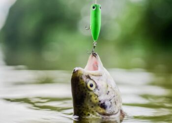 Dy shenjat e horoskopit që mund të bien viktimë e mashtrimit ditën e sotme